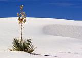 White Sands_32003